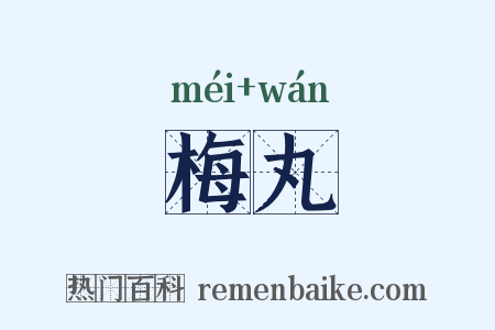 梅丸是什么意思的图片
